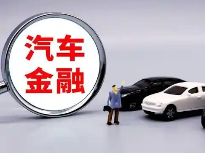 龙里押车贷款不是本人可以么?